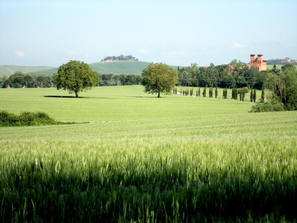 Castello Di San Fabiano Casa de hóspedes Monteroni dʼArbia Exterior foto